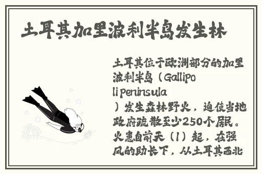 **捕鱼游戏充钱可提的